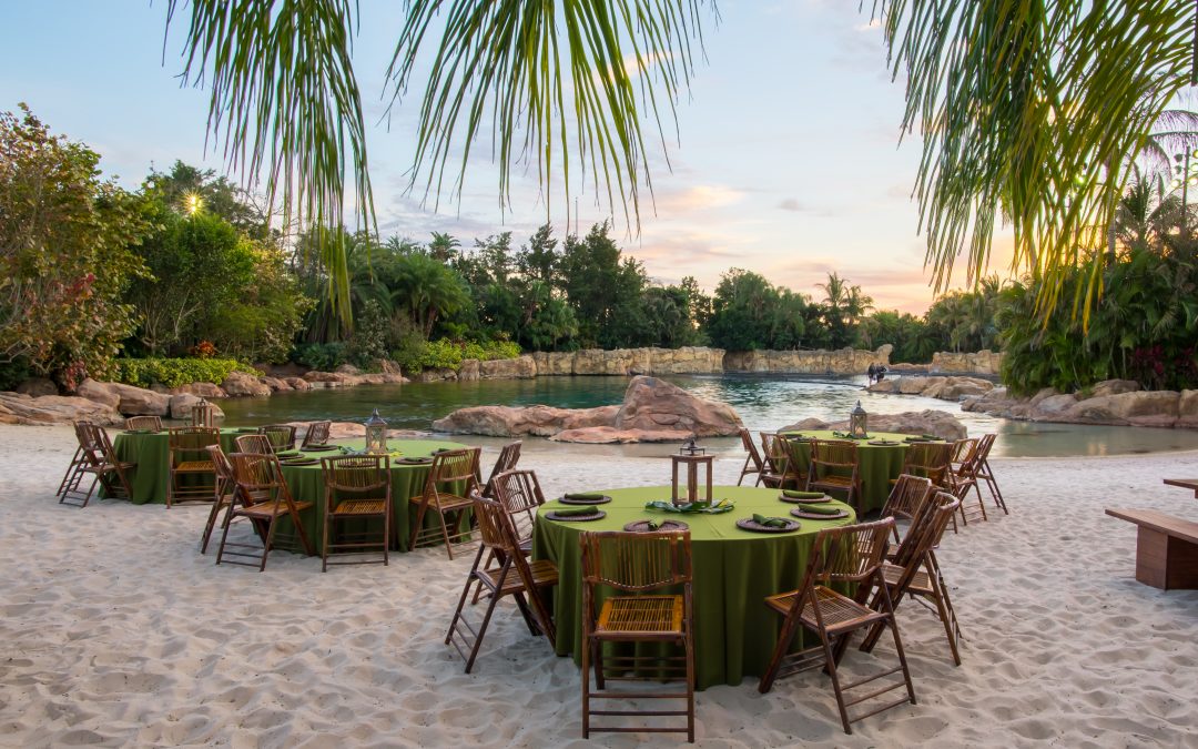 Discovery Cove lança experiência de jantar na praia