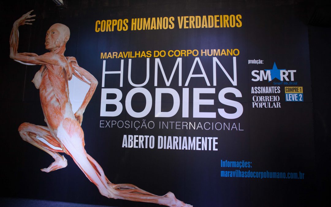 “Human Bodies – Maravilhas do Corpo Humano” em Campinas