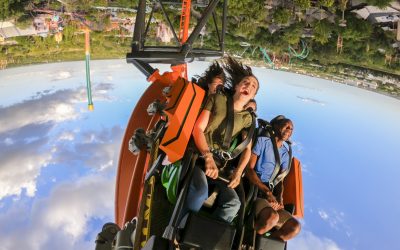 Busch Gardens Tampa Bay inaugura nova atração
